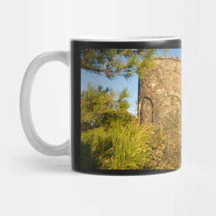 Mount Battie Mug